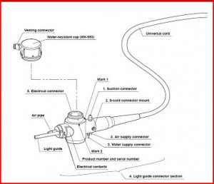 Olympus scope light guide