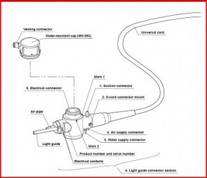 Olympus scope light guide