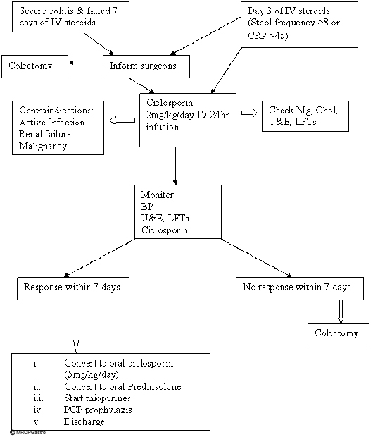 Algorithm