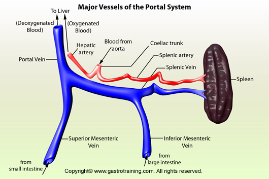 Portal System