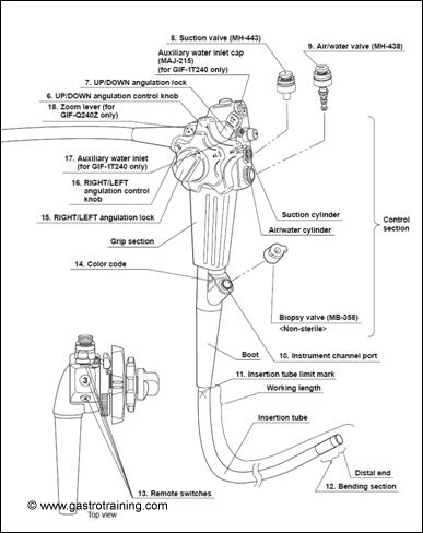 The different parts of an endoscope: Courtesy Olympus